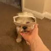 Samuel - @samuelpattison1 - TikTok