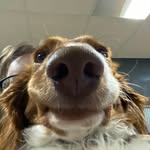 Samuel Paxton - @derpyweiner137 - Instagram