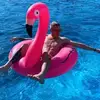 Samuel Peck600 - @samuelpeck0 - TikTok