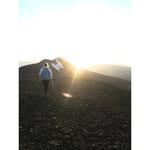 Samuel Peck - @pigeotlagle - Instagram