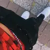 El gatito - @samueulpedro - TikTok