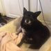 Samuel Peeples - Facebook