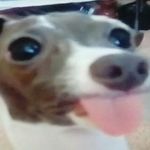 Samuel Perdue - @one_2d_little_boi - Instagram