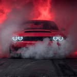 Samuel Petritz - @samuelpetritz - Instagram