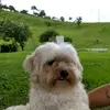samuel.petri - @samuel.petri - TikTok