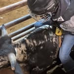 Samuel Phillips - @samuel_phillips007 - Instagram