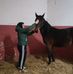 Samuel Piccolo - Facebook