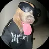 Samuel Pinto - @samuel.pinto0473 - TikTok