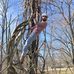 Samuel Piper - Facebook