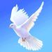 Samuel Piper - Facebook