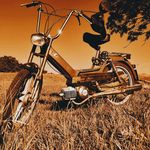 Samuel Pizzol - @samuelpizzol - Instagram