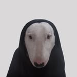 @samuelpoli_ - Instagram