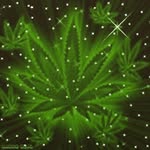 samuel pool - @samuel_s.m - Instagram
