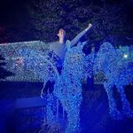 Samuel Poon - @s.poonicorn - Instagram