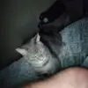 Poore Samuel - @poore.samuel - TikTok