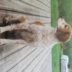 Samuel Petit - Facebook