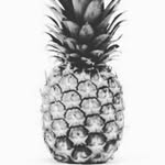 Samuel Pressley R - @pineapple_reed_123 - Instagram