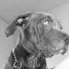 samuelpressley7 - @samuelpressley7 - TikTok