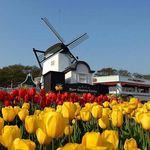 Quist Samuel - @quist.samuel.3 - Instagram