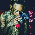 Samuel Quist - @samuelquist - Instagram