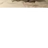 Samuel ragusa - @samuelragusa0 - TikTok