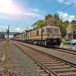 Samuel || Rail photographer - @the_southern_rfs - Instagram