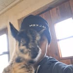 Samuel Rainer - @rainersamuel2 - Instagram