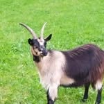 samuelrainer - @samuelrainer274 - Instagram