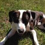Samuel T Kristofferson Ramey - @samuel_t_k_ramey - Instagram