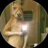 Samuel Ramirez - @samuel.ramirez556 - TikTok