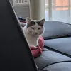Samuel Ranger - @sammyboy80 - TikTok
