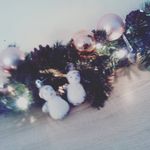 samuel - @samuel_rauch_ - Instagram