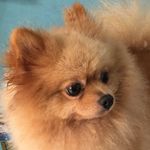 Samuel Raven - @samuel_lolgamingxd - Instagram