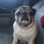Samuel Reeve - @samuel.reeve.12 - Instagram