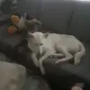 Samuel Renaud - @samuelrenaud03 - TikTok
