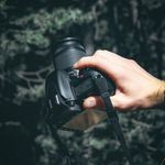 @samuel_renaud_ - Instagram