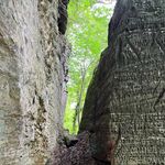 Samuel Ricketts - @hamburg4325 - Instagram