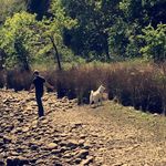 Samuel Ritter - @penguin_slice - Instagram