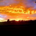 Samuel Rizo - @rizo_samuel - Instagram
