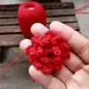 crochê melo - @samuelcroche - TikTok