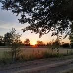 Samuel Roche - Facebook