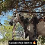 Samuel Roque - @samuelroqueferreira72 - Instagram