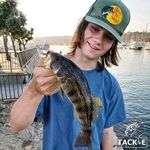Samuel Rutledge - @wickedrutledge - Instagram