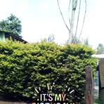 Samuel Saka - Facebook