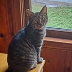 Samuel Schalk - Facebook