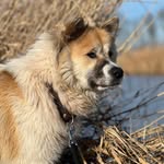 Samuel Van Der Schaaf - @samuelvanderschaaf - Instagram