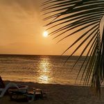 Samuel - @samuel.schell71 - Instagram