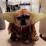 Sam Seligman - @samuel_seligman - Instagram