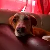 samuelserranolond - @samuelserranolond - TikTok