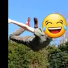 samuel seth - @nothinggoawayhere - TikTok
